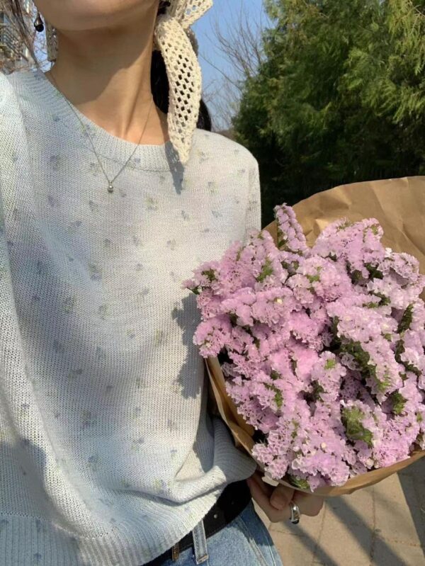 春日呢喃碎花針織短袖上衣